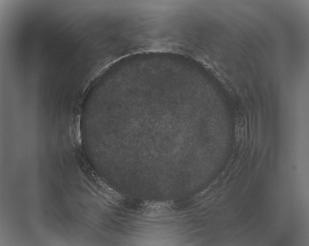 X0000075331262200610061619