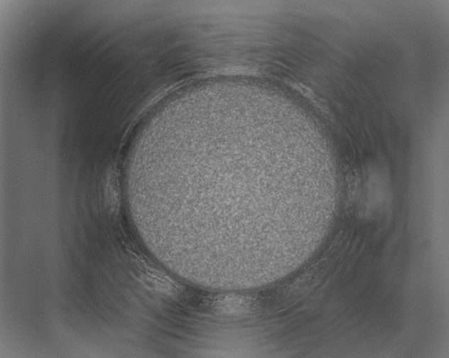 X0000075331266200610061619