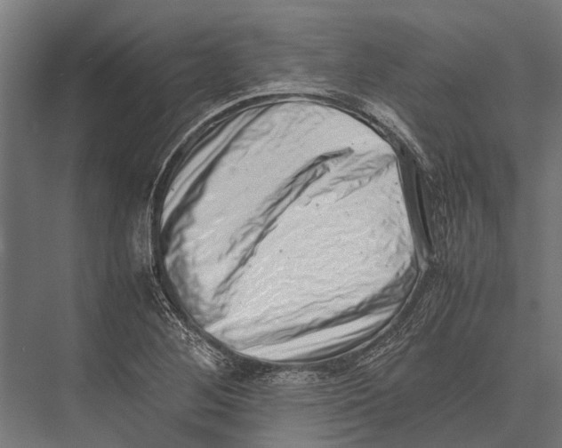X0000075331268200610061619