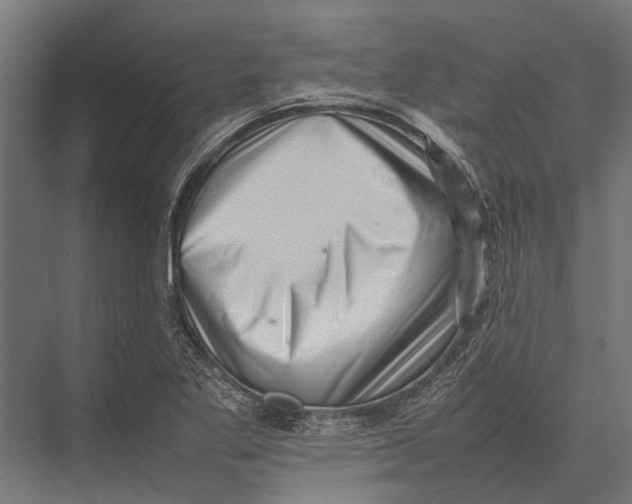 X0000075331269200610061619