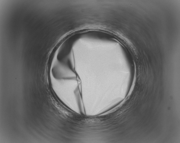 X0000075331272200610061619