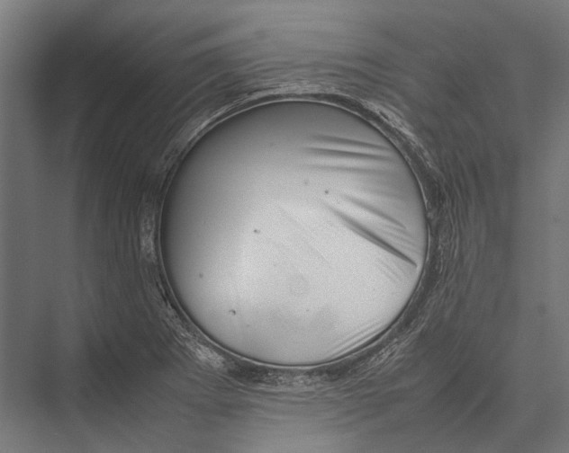 X0000075331273200610061619