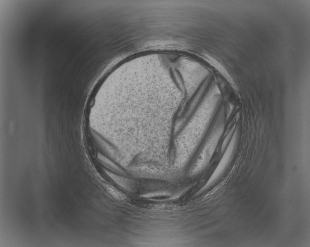 X0000075331277200610061619