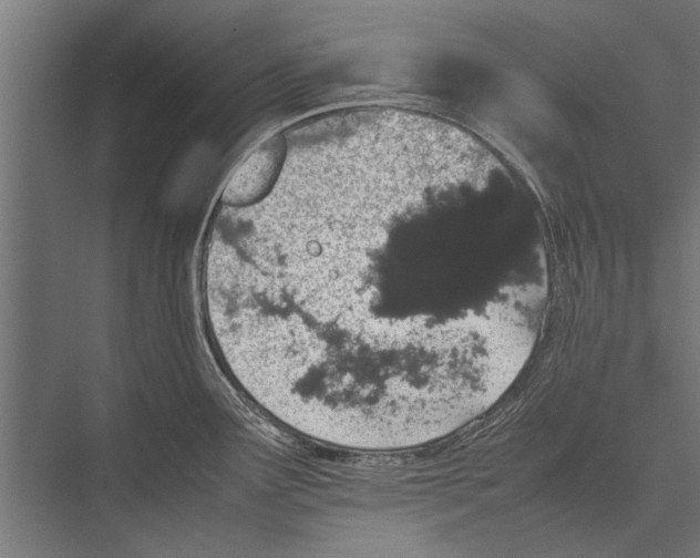 X0000075331291200610061618