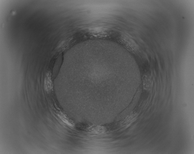 X0000075331298200610061617