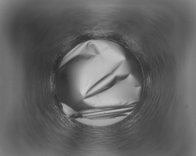 X0000075331300200610061617