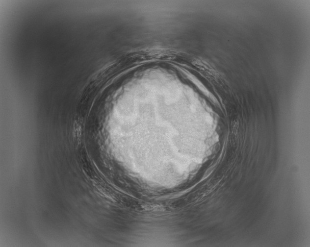X0000075331302200610061617