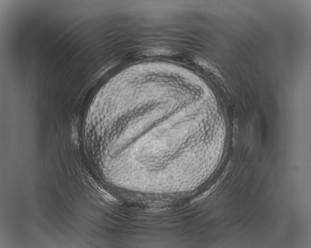 X0000075331305200610061618
