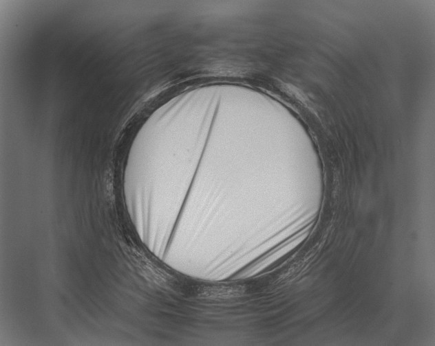 X0000075331307200610061618