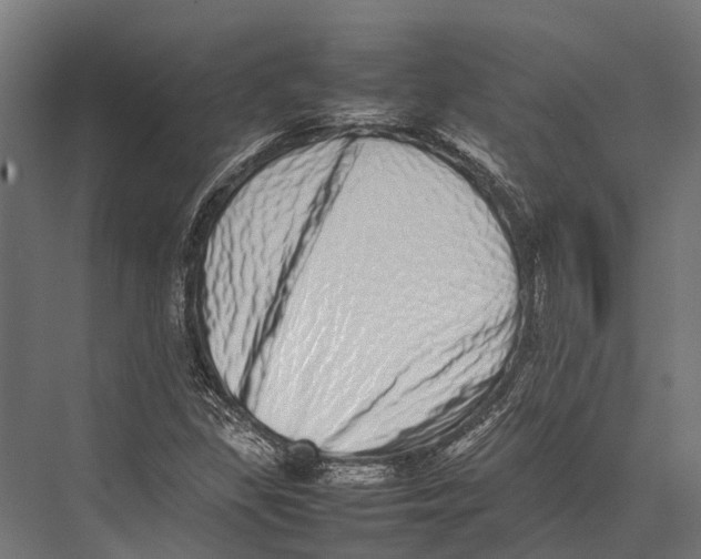 X0000075331309200610061618