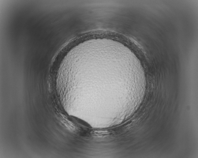 X0000075331310200610061618