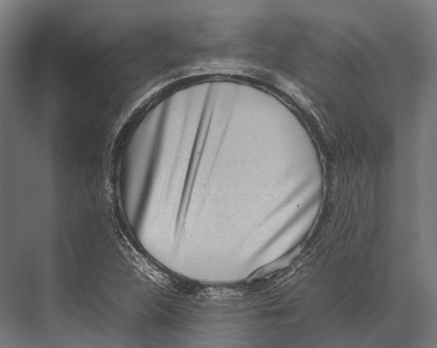 X0000075331312200610061618