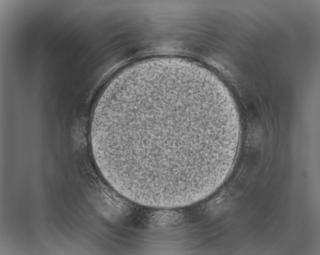 X0000075331314200610061618