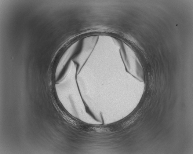 X0000075331318200610061618