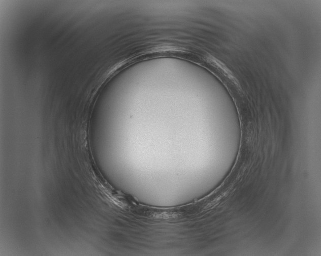 X0000075331321200610061618