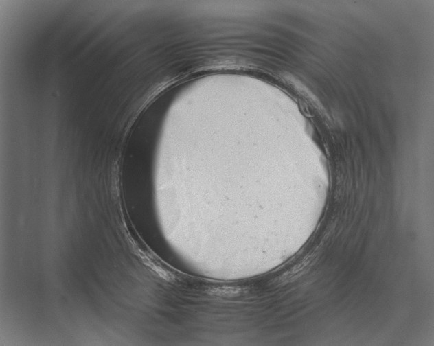 X0000075331329200610061618