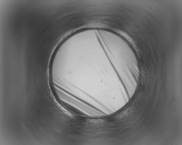X0000075331335200610061618