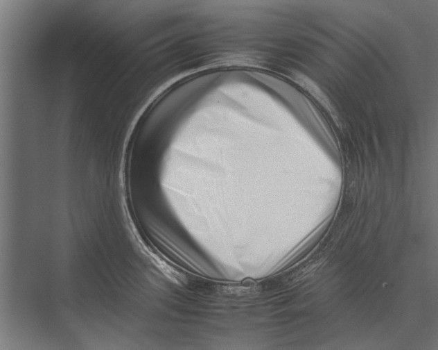 X0000075331339200610061618