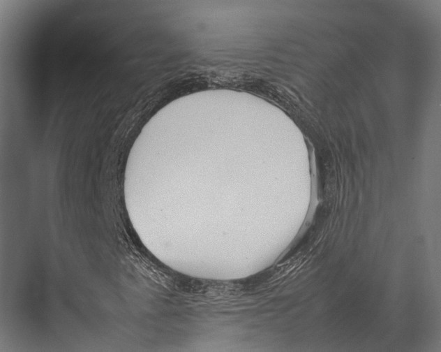 X0000075331345200610061617