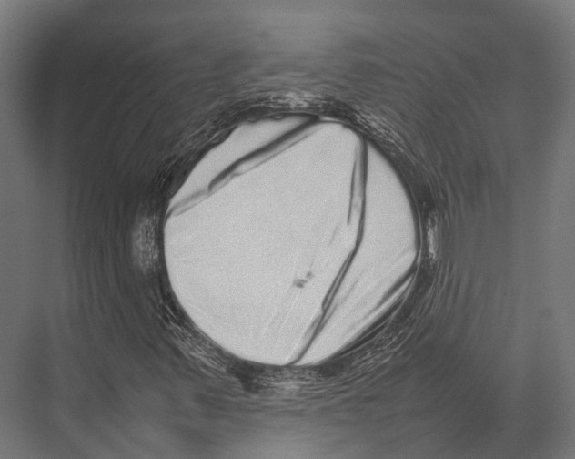 X0000075331347200610061617
