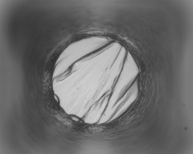 X0000075331351200610061617