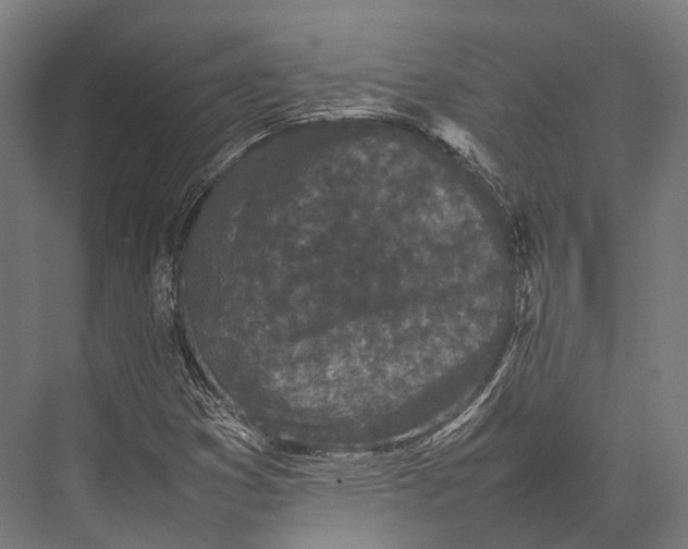 X0000075331353200610061617