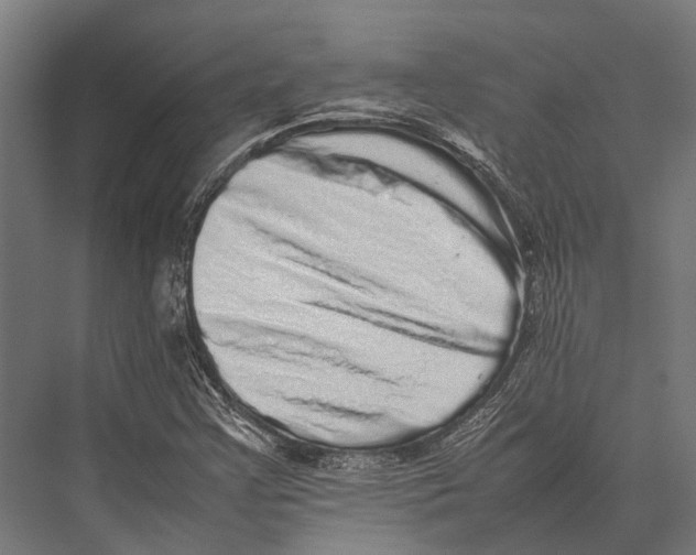 X0000075331355200610061617