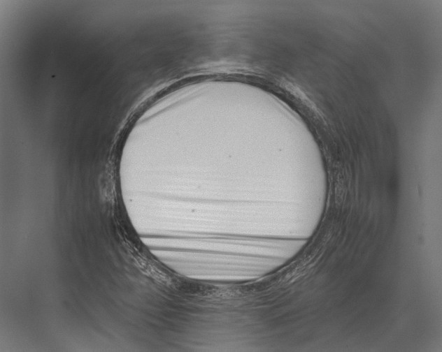 X0000075331358200610061617