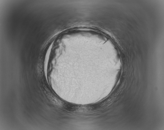 X0000075331359200610061617