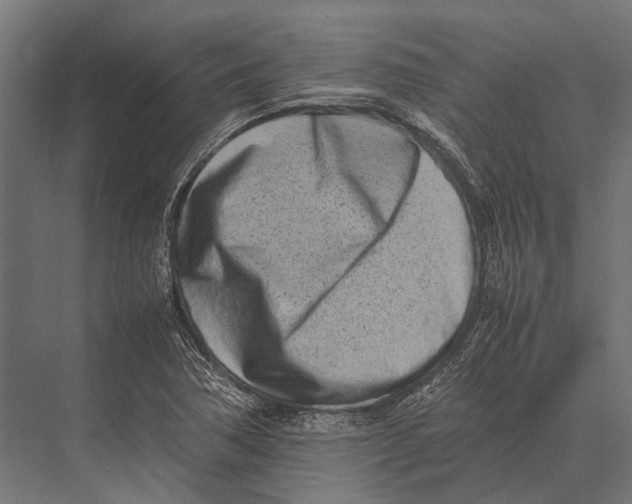 X0000075331362200610061617