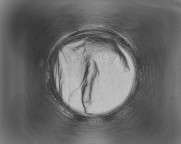 X0000075331363200610061617