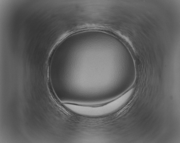 X0000075331365200610061617