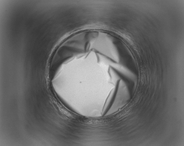 X0000075331366200610061617
