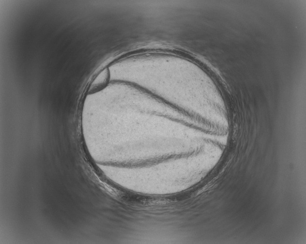 X0000075331367200610061617