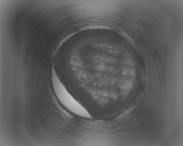 X0000075331369200610061617