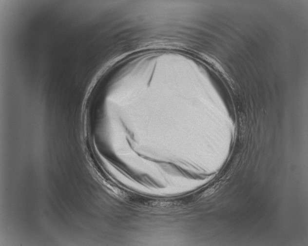 X0000075331371200610061617