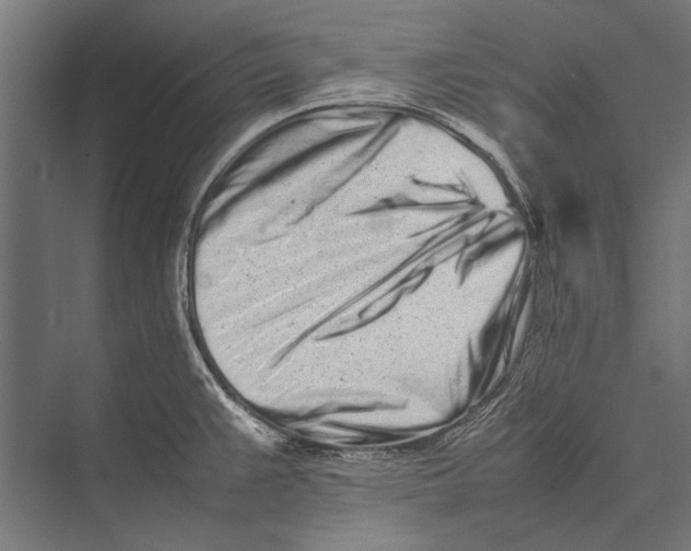 X0000075331383200610061617