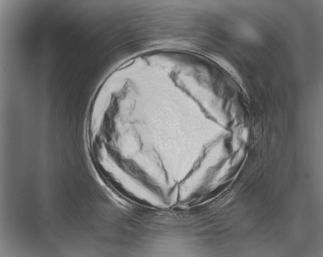 X0000075331391200610061617