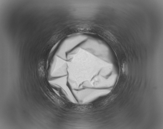 X0000075331396200610061616