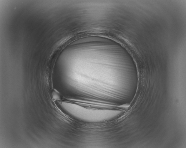 X0000075331402200610061616