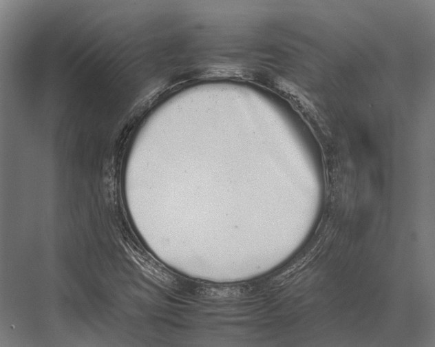 X0000075331403200610061616