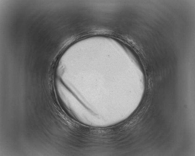 X0000075331405200610061616