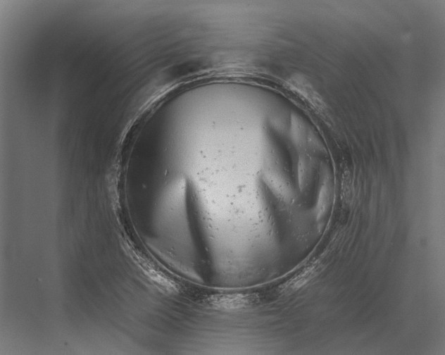 X0000075331410200610061616