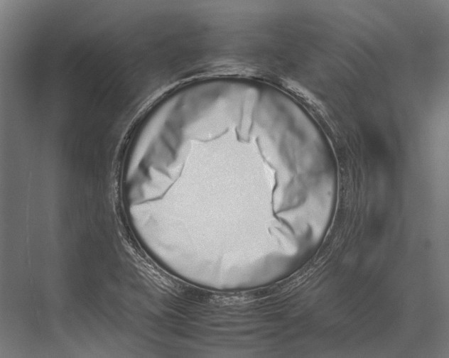 X0000075331415200610061616