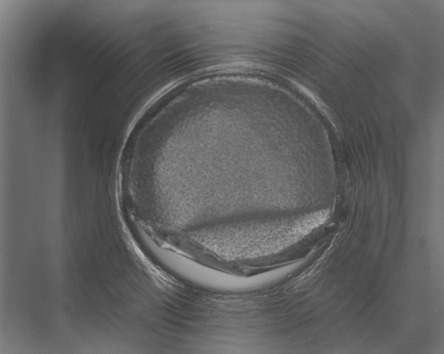 X0000075331418200610061616