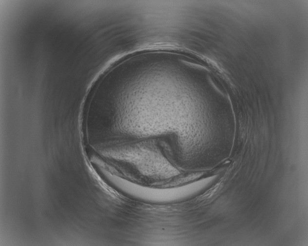 X0000075331422200610061616
