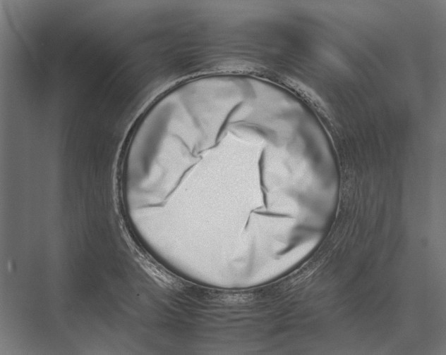 X0000075331423200610061616