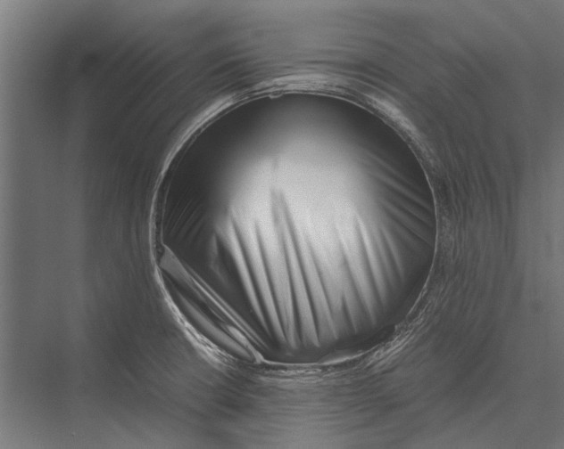 X0000075331426200610061616