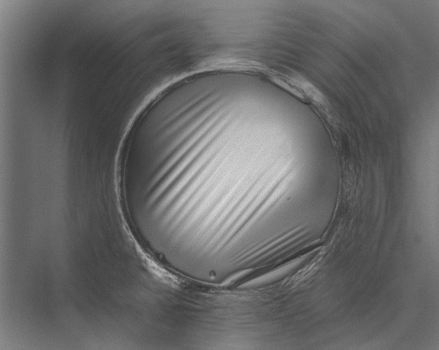 X0000075331430200610061616