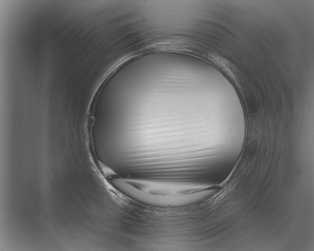 X0000075331434200610061616